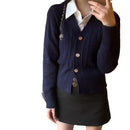 Preppy Style V-neck Slim Fit Warm Sweater